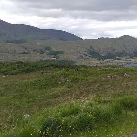 Murphys Irish ترالي