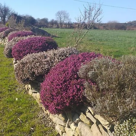 Дом отдыха Murphys Irish *