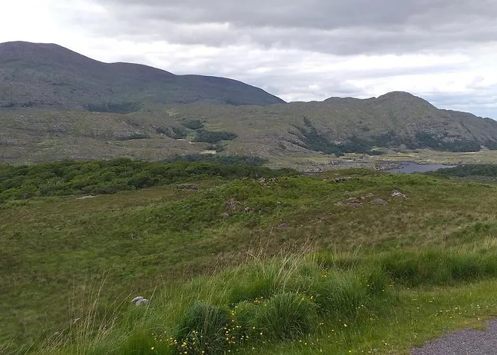 Murphys Irish Tralee