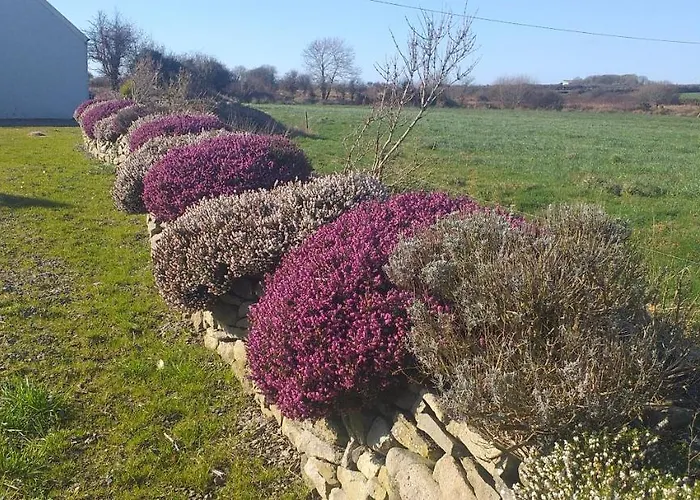 Hébergement de vacances Murphys Irish *
